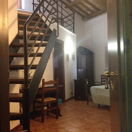 Agriturismo Collepina Amelia Dış mekan fotoğraf