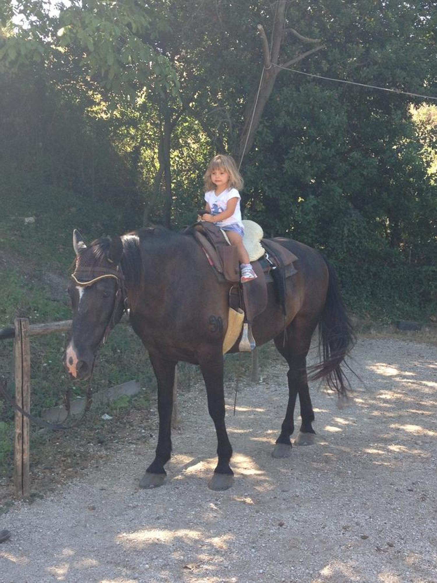 Agriturismo Collepina Amelia Dış mekan fotoğraf