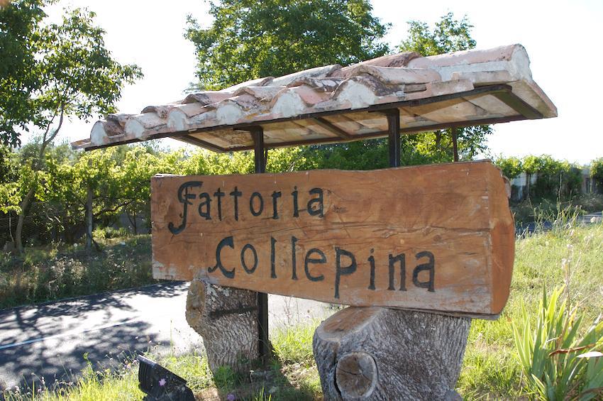Agriturismo Collepina Amelia Dış mekan fotoğraf