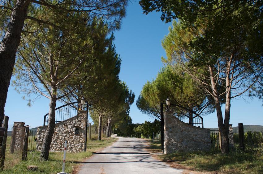 Agriturismo Collepina Amelia Dış mekan fotoğraf