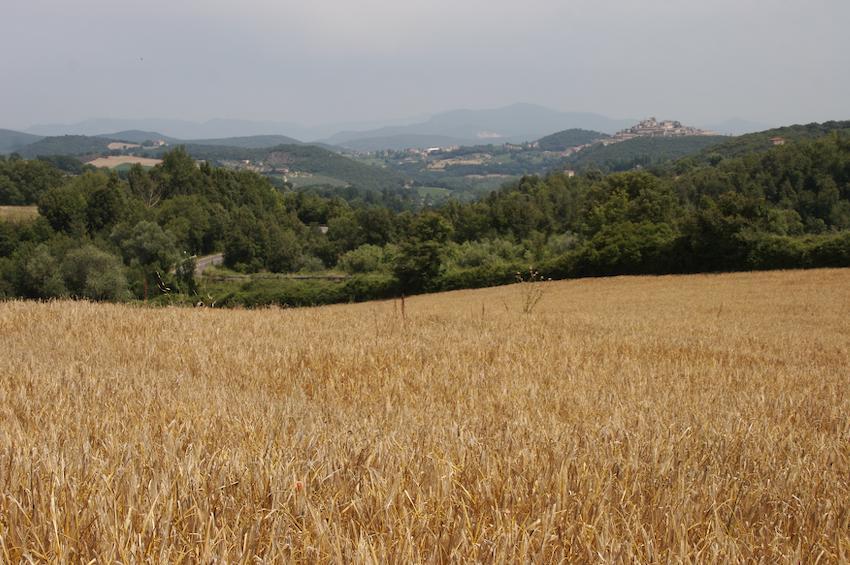 Agriturismo Collepina Amelia Dış mekan fotoğraf
