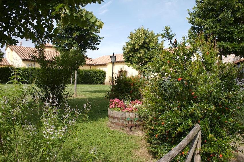 Agriturismo Collepina Amelia Dış mekan fotoğraf