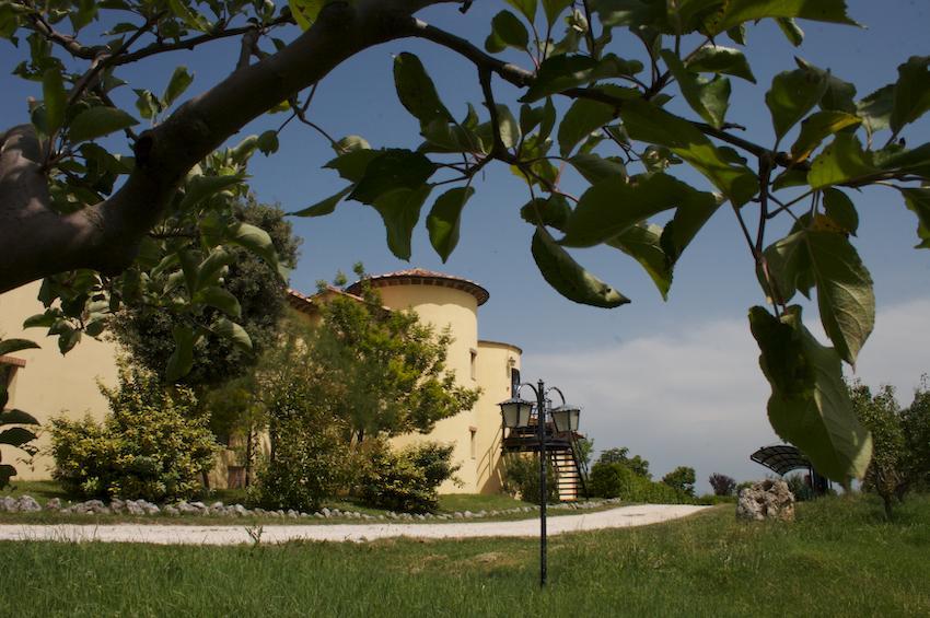 Agriturismo Collepina Amelia Dış mekan fotoğraf