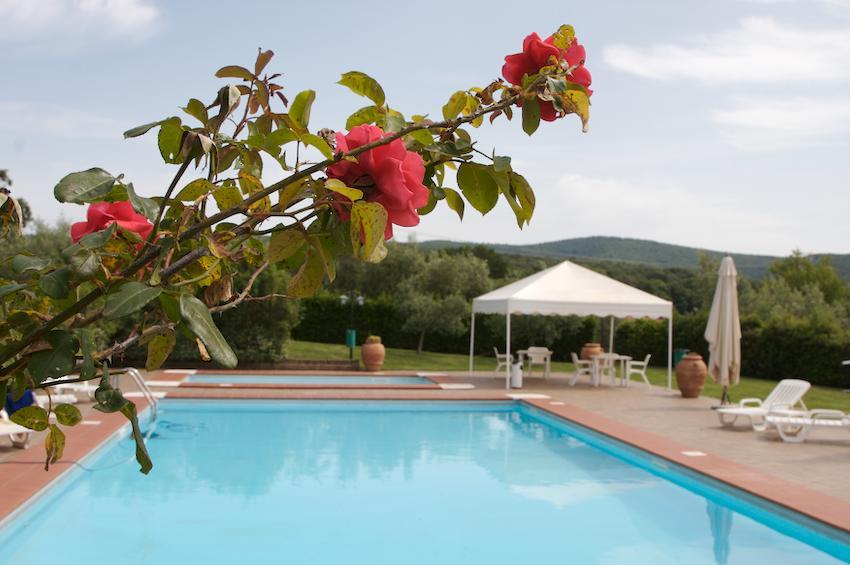 Agriturismo Collepina Amelia Dış mekan fotoğraf