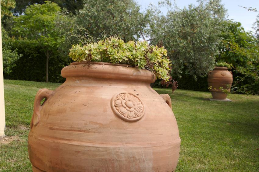 Agriturismo Collepina Amelia Dış mekan fotoğraf