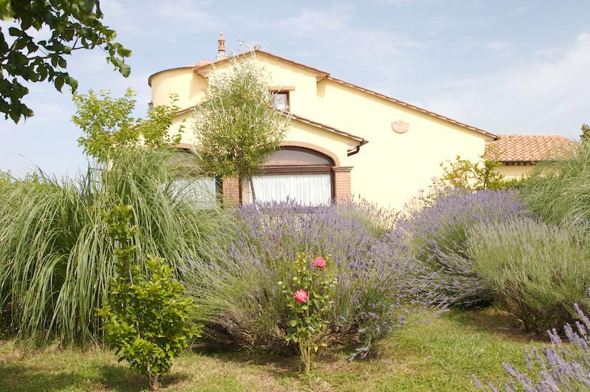 Agriturismo Collepina Amelia Dış mekan fotoğraf